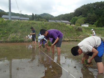 2013.5.30taue1.jpg